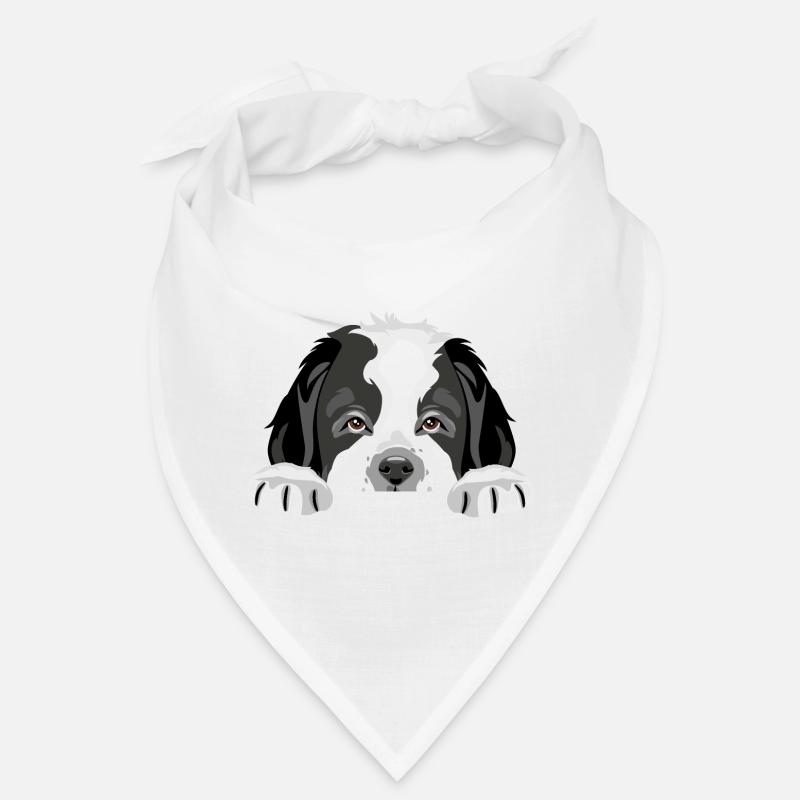 Peeping Saint Bernard chiot chien Bandana