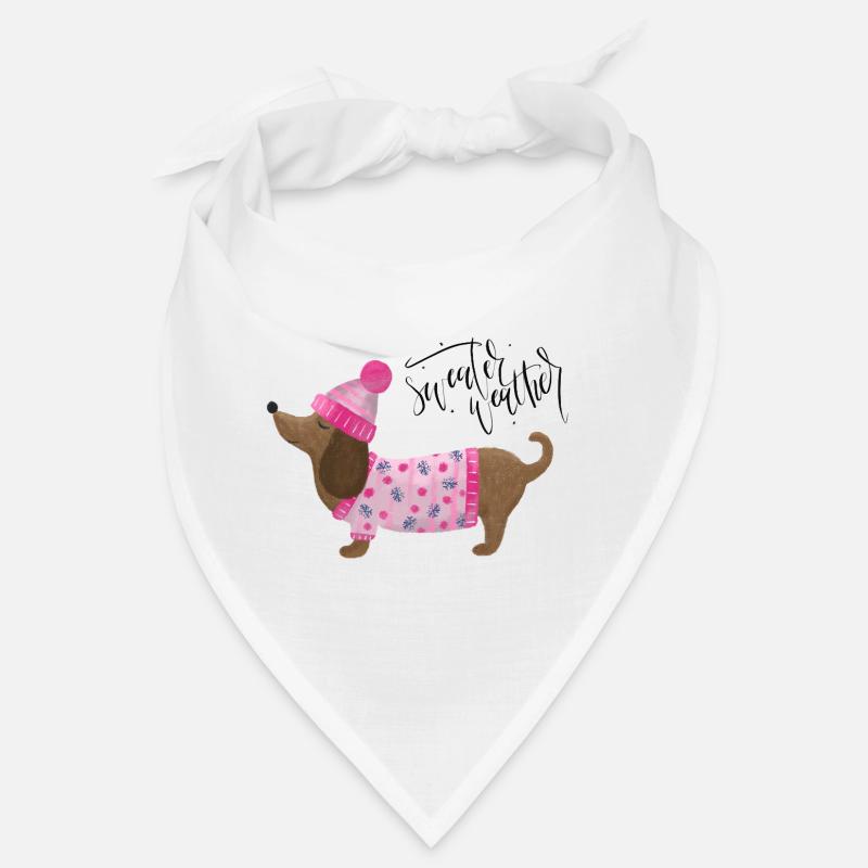 Teckel avec pull et chapeau Pull Météo rose Bandana