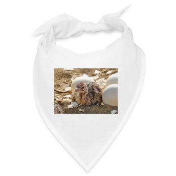 Straussenküken im Nest mit Eierschalen - Bandana - Weiß - Vorne
