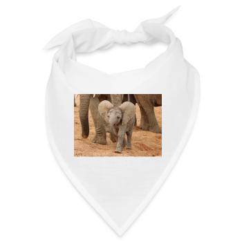 Kleines Elefantenbaby in Afrika - Bandana - Weiß - Vorne