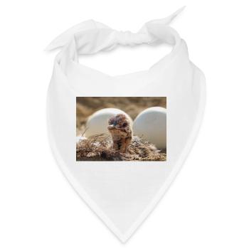 Neugieriges Küken im Nest - Bandana - Weiß - Vorne