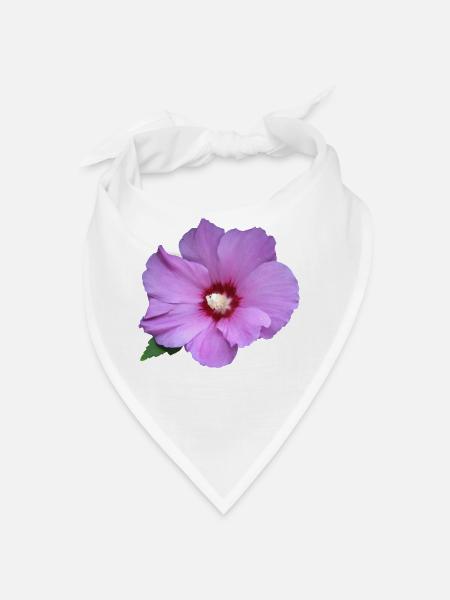 Fleur rose rose Guimauve rose - Bandana - blanc - Devant
