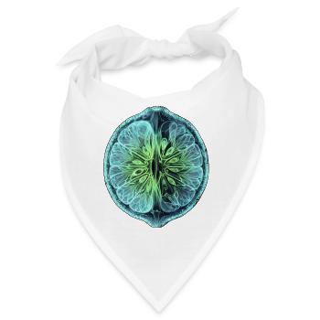Limette Röntgen Design - Bandana - Weiß - Vorne