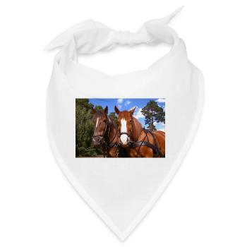 Pferde Gespann - Bandana - Weiß - Vorne