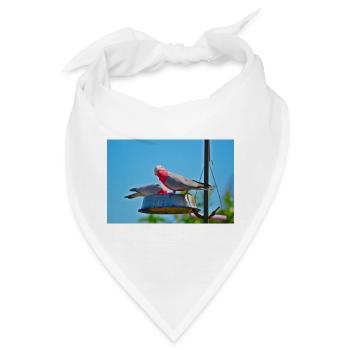 Ein Paar rosa und graue Galahs, die in einem Garten füttern - Bandana - Weiß - Vorne