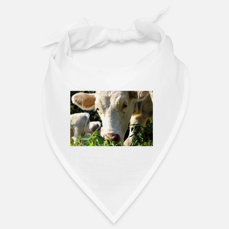 Affiche vache Bandana
