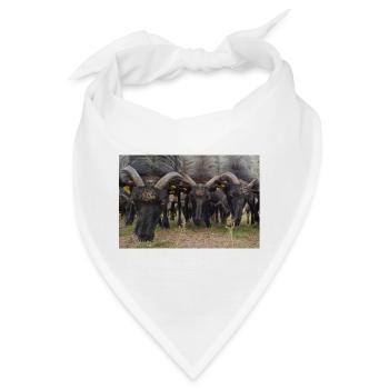 Lüneburger Heide - Bandana - Weiß - Vorne
