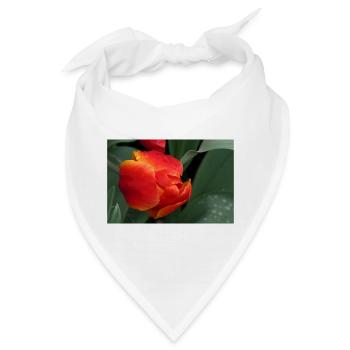 Feurige Tulpenfrische - Bandana - Weiß - Vorne