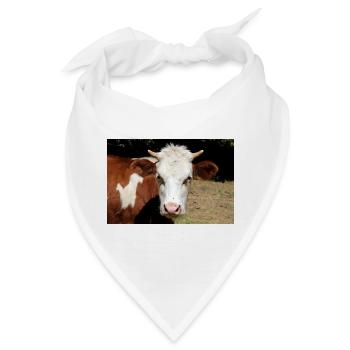 Kuh Poster - Bandana - Weiß - Vorne