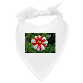 Dahlie weiß rot Blüte ,Blume - Bandana - Weiß - Vorne