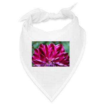 Dahlie rot Blüte ,Blume - Bandana - Weiß - Vorne