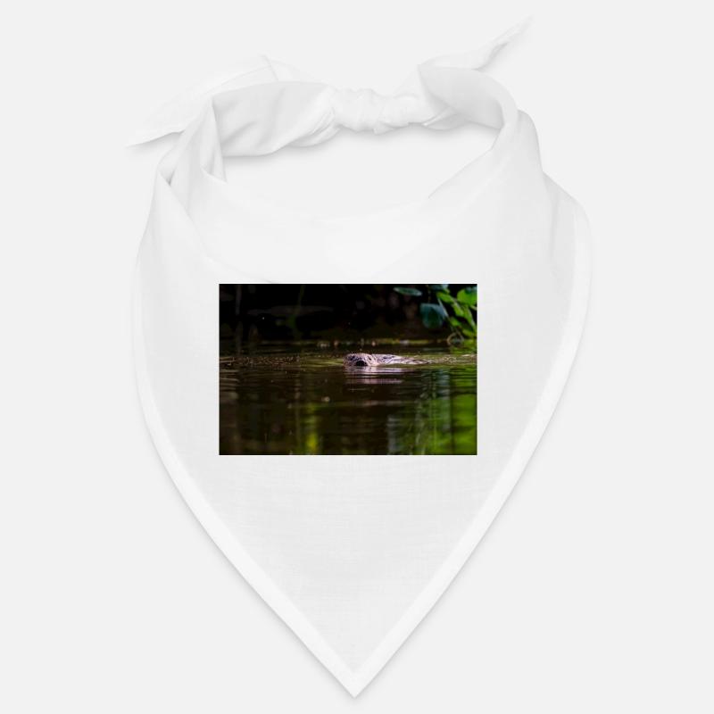 Castor nageant vers la caméra dans l’eau peu profonde Bandana