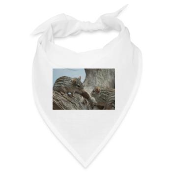 Zwei kleine Nagetiere mit gestreiftem Fellgesicht - Bandana - Weiß - Vorne