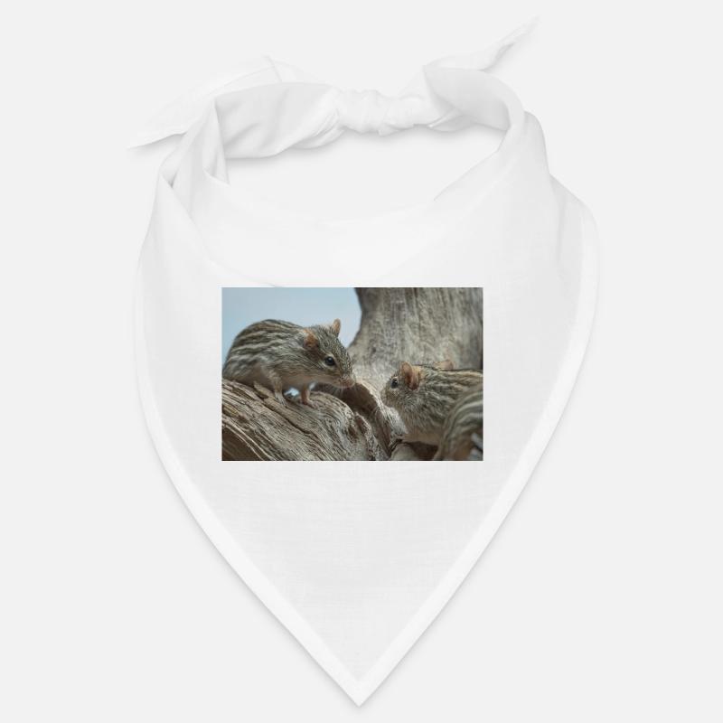 Deux petits rongeurs à la face en fourrure rayée Bandana