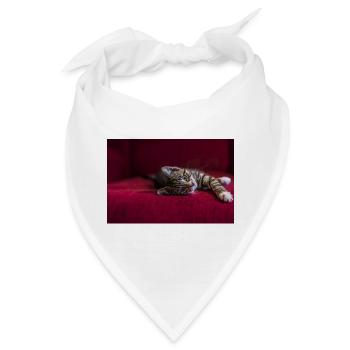 Süße getigerte Babykatze, liegend, Fotografie - Bandana - Weiß - Vorne