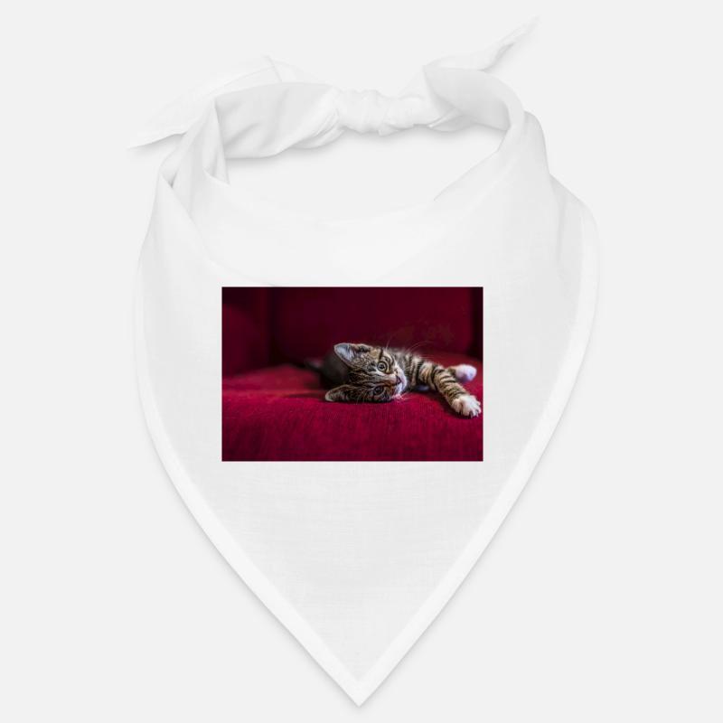 Mignon bébé chat tigré, mentir, photographie Bandana