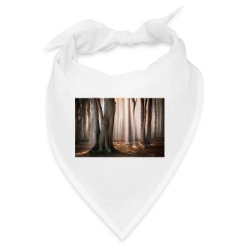 Waldlicht: Sonnenstrahlen im Nebelwald - Bandana - Weiß - Vorne