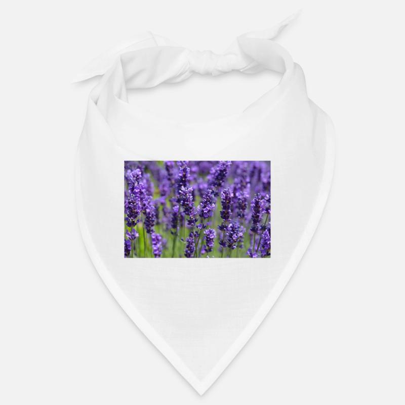 Lavendelfeld-Traumlandschaft Bandana