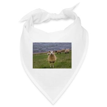 Schaf auf dem Deich an der Küste - Bandana - Weiß - Vorne