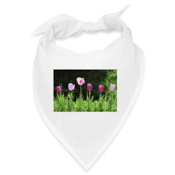 Tulpen im Frühling - Bandana - Weiß - Vorne
