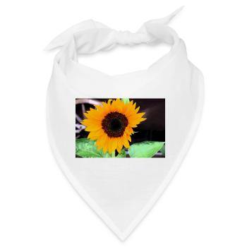 Große Sonnenblume im Garten - Bandana - Weiß - Vorne
