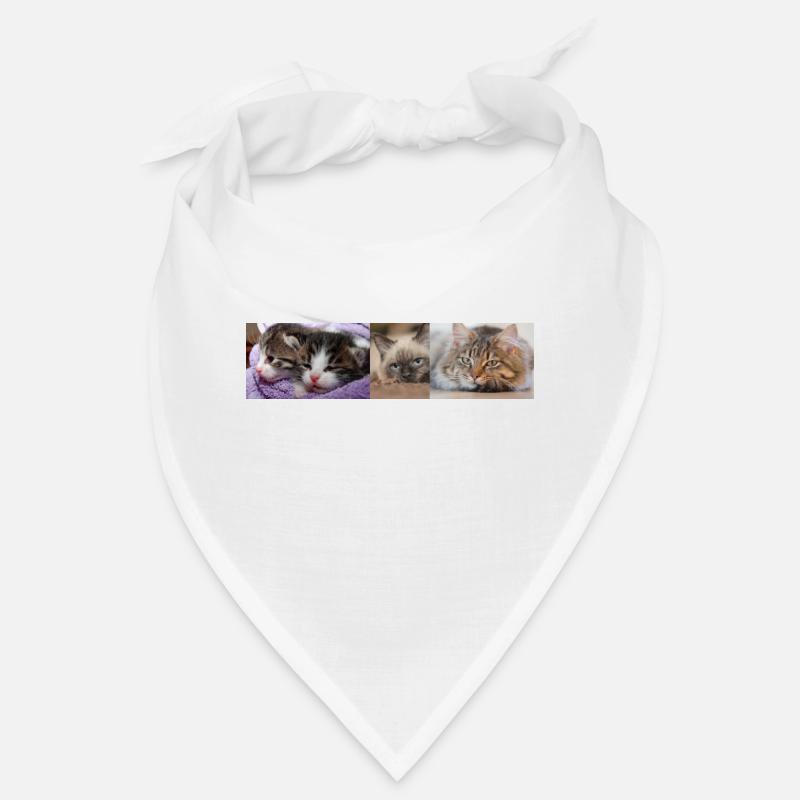 Chats Bandana