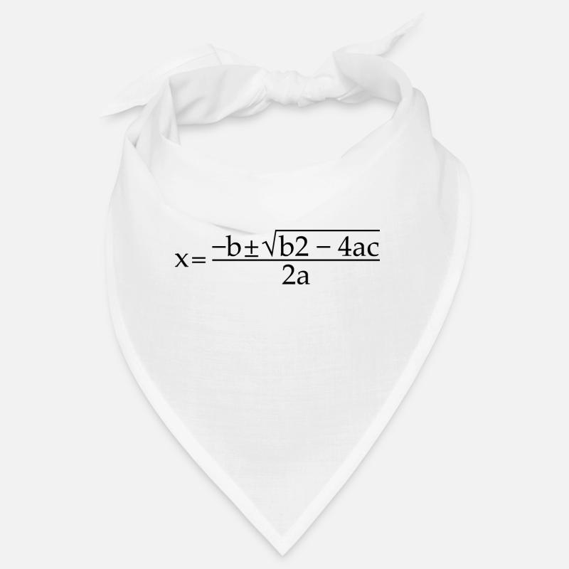 Quadratic Formula For Math Class 12 Bandana