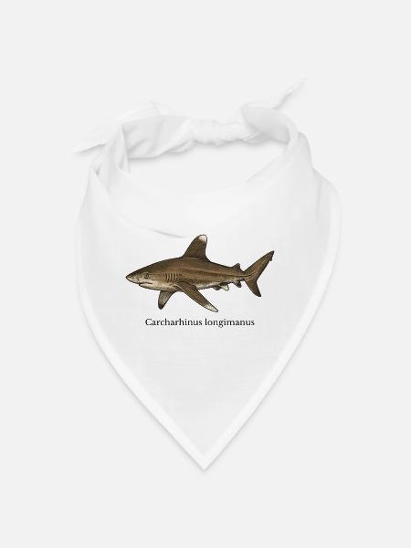 Carcharhinus longimanus shark design - Bandana - white - Front