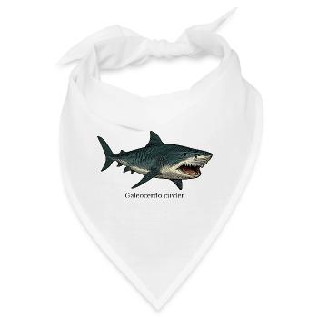 Galeocerdo cuvier Tigerhai Design - Bandana - Weiß - Vorne