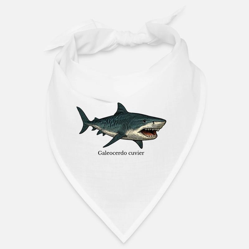 Dessin de requin tigre Galeocerdo cuvier Bandana
