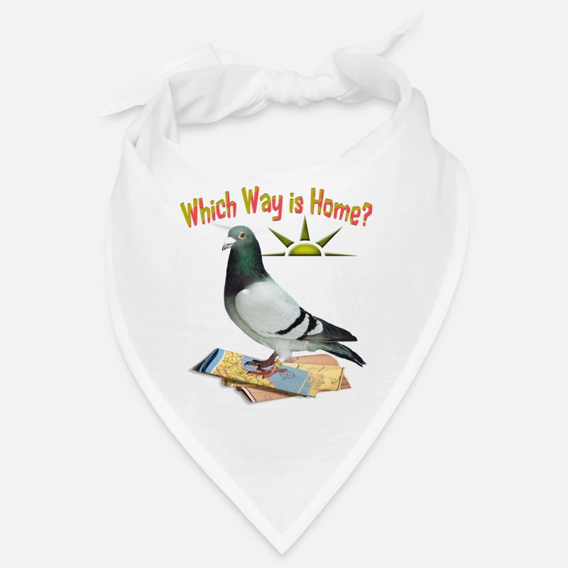 Which Way is Home Bandana