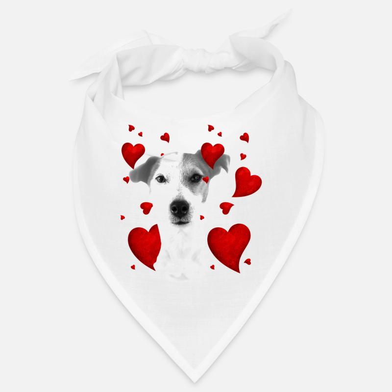 Jack Russel mit Herzen Bandana