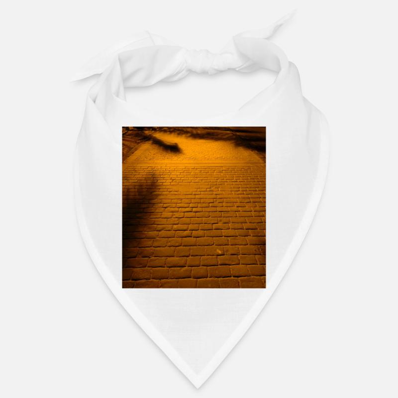 Paving stones Bandana