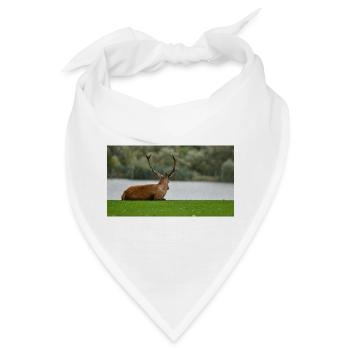 Hirsche am Ufer des Sees - Bandana - Weiß - Vorne