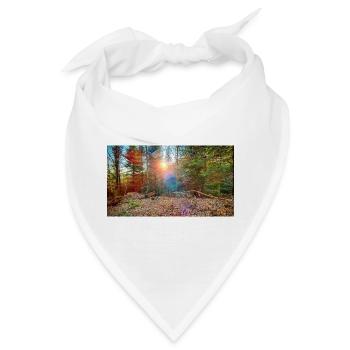 Sonnenlicht im Herbstwald - Bandana - Weiß - Vorne
