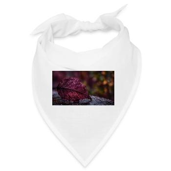 Nachtrotes Taublatt - Bandana - Weiß - Vorne