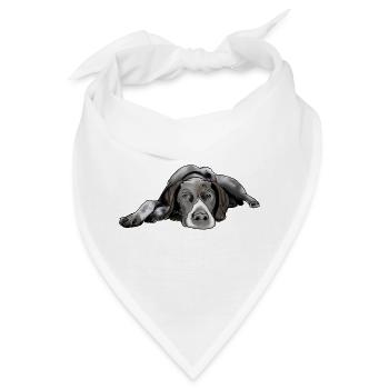 Pointer Deutsch Kurzhaar - Bandana - Weiß - Vorne