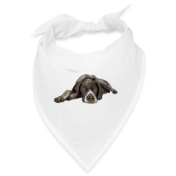 Pointer Deutsch Kurzhaar - Bandana - Weiß - Vorne