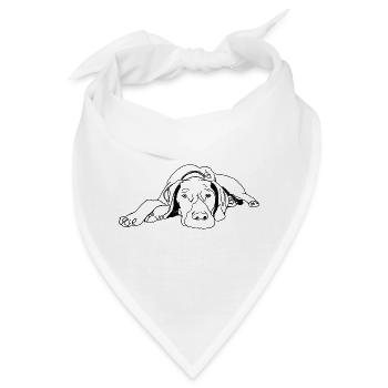 Pointer Deutsch Kurzhaar - Bandana - Weiß - Vorne