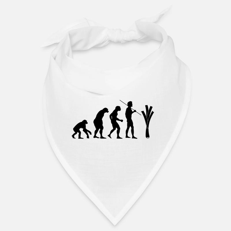 Evolution des Lauchs Bandana