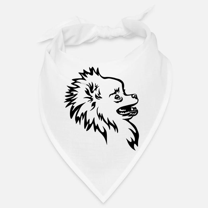Zwergspitz Kopf Bandana