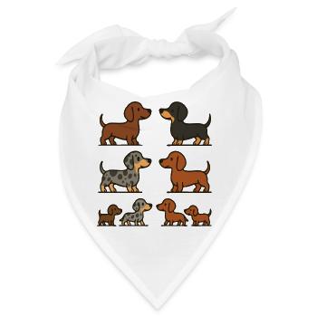 Dachshund Quartet Illustrationspaket - Bandana - Weiß - Vorne