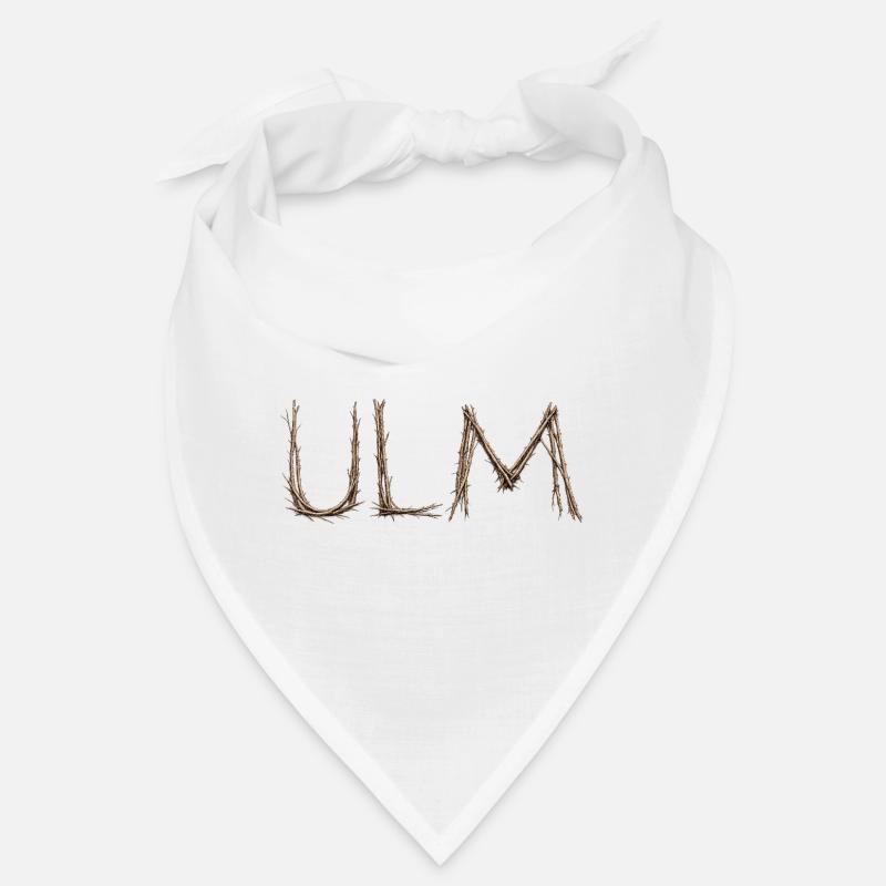 Lettrage ULM avec des brindilles posées par le moineau Bandana