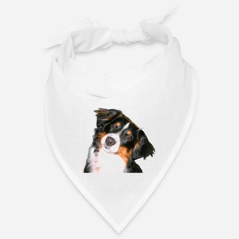 Aussie Nanouk, head - photo Bandana