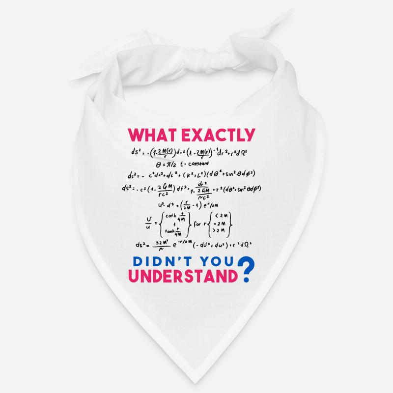 Physics and Math formula Joke Bandana