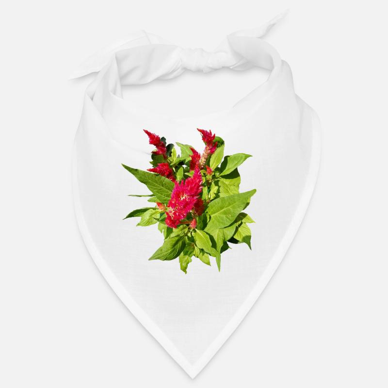 ROTE CELOSIEN Bandana