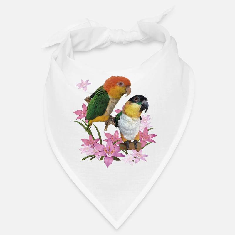 Der orangeköpfige Caique Bandana