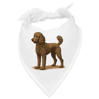Pudel - Bandana - Weiß - Vorne