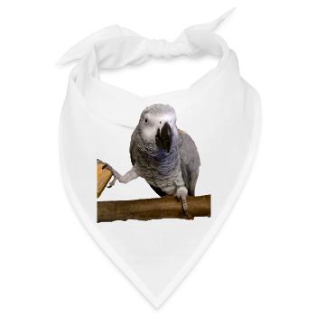 Graupapagei auf Ast - Bandana - Weiß - Vorne