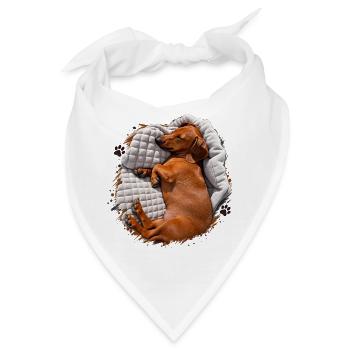 Dackel Kuscheltraum auf Decke - Bandana - Weiß - Vorne